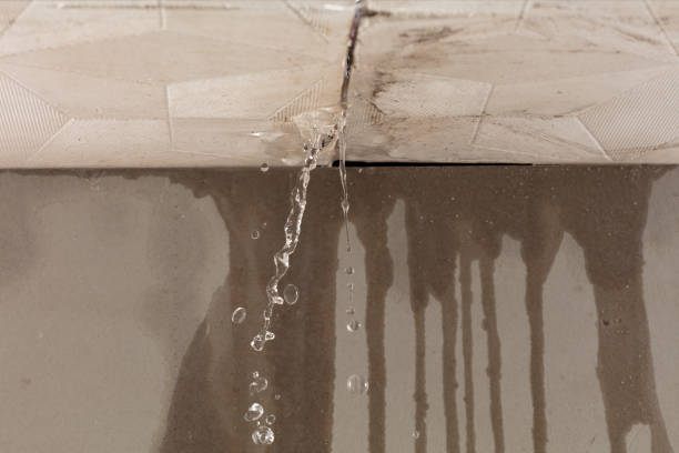 Professional Structural Drying technician working in Davison, MI